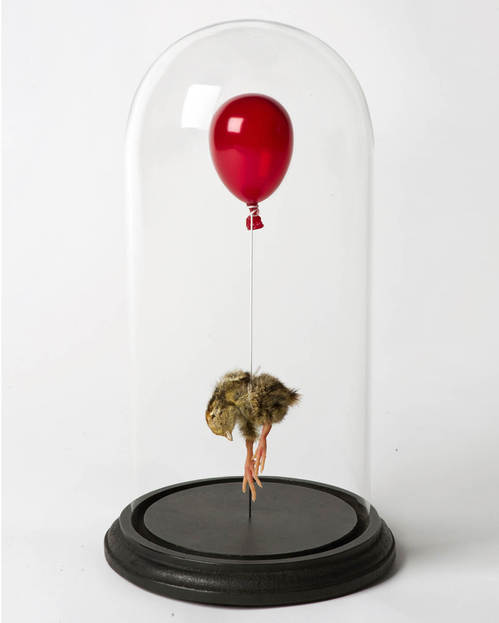 Still Small Birth by Polly Morgan