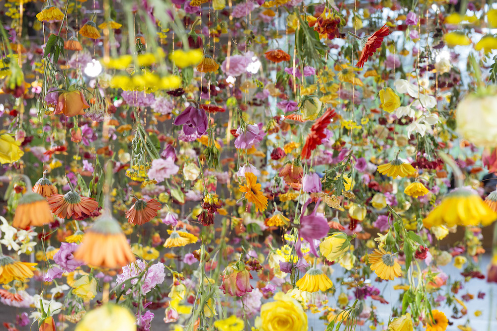 Garten by Rebecca Louise Law