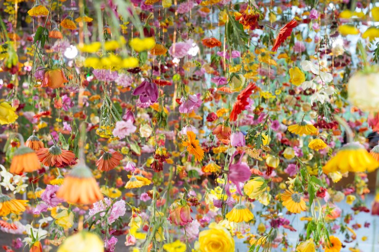 Garten by Rebecca Louise Law