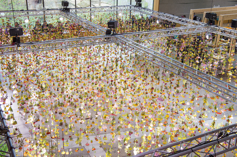 Garten by Rebecca Louise Law