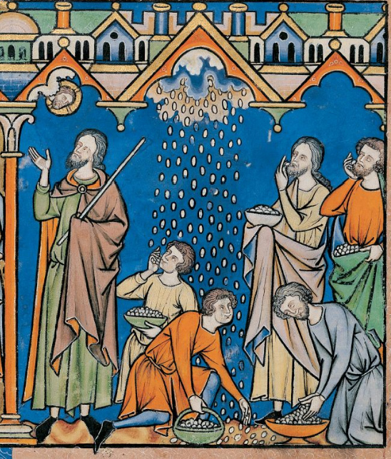 Manna from Heaven (13th c)