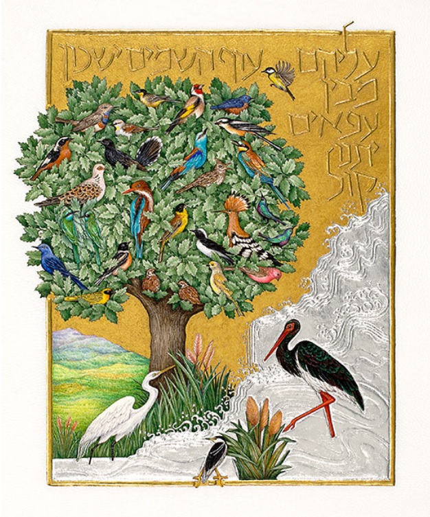 Among the Branches They Sing by Barbara Wolff