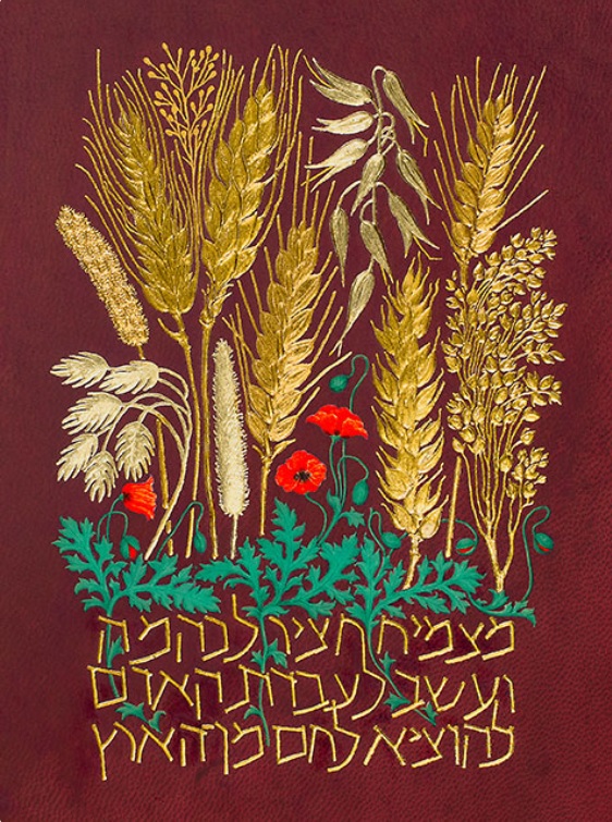 To Bring Forth Bread by Barbara Wolff