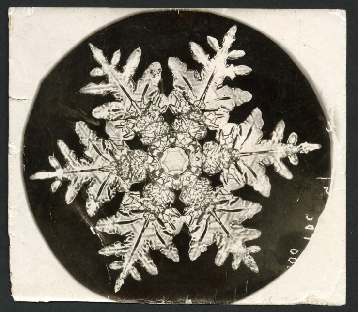 Snowflake photo by Wilson Bentley