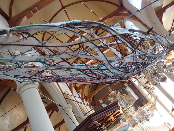 Erica Grimm, Salt Water Skin Boats