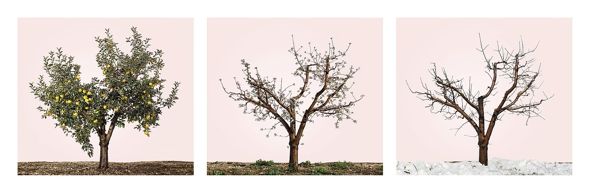 Shochat, Tal_Lessons in Time 3