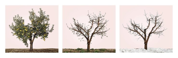 Shochat, Tal_Lessons in Time 3