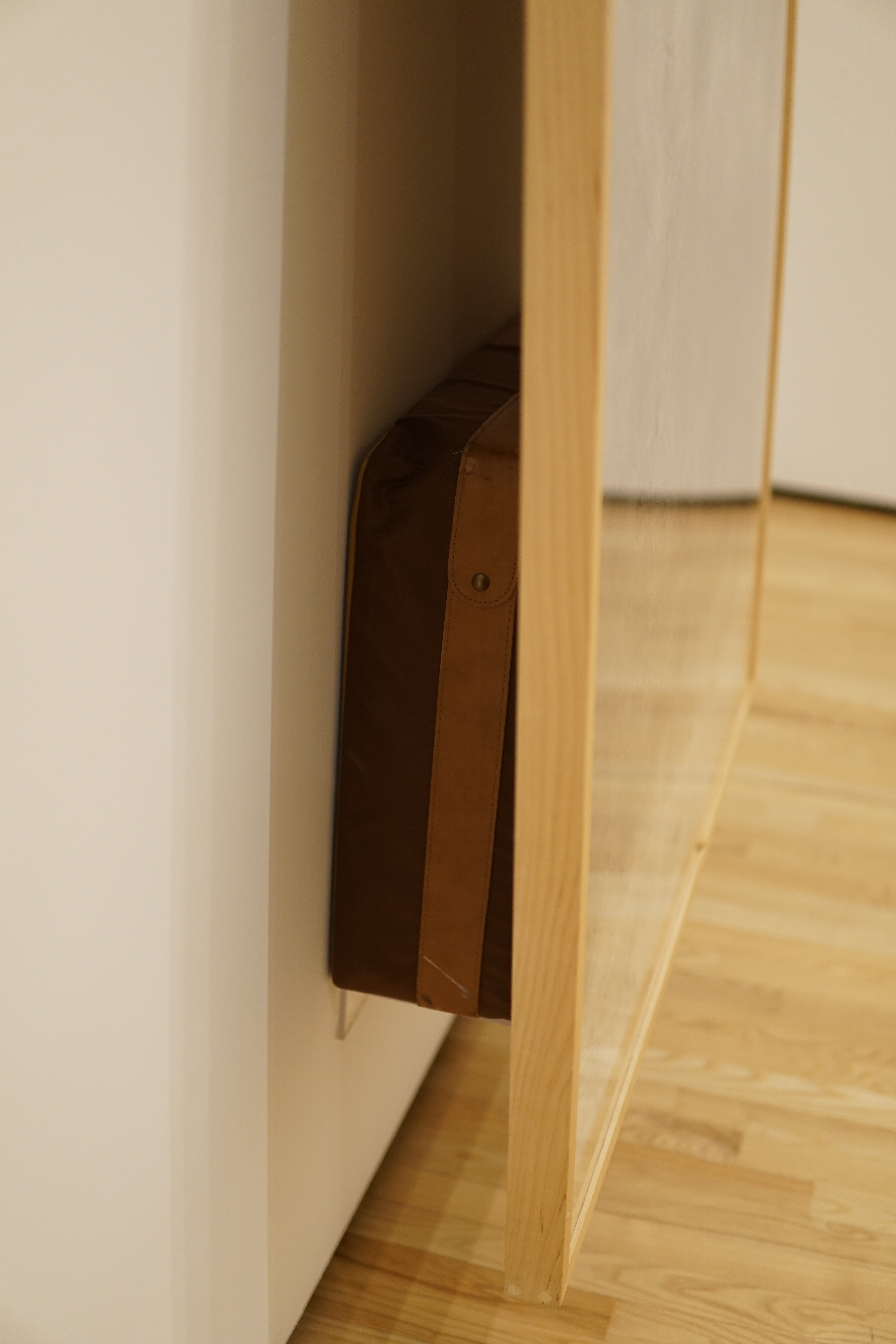 Hammons, David_Traveling (detail)