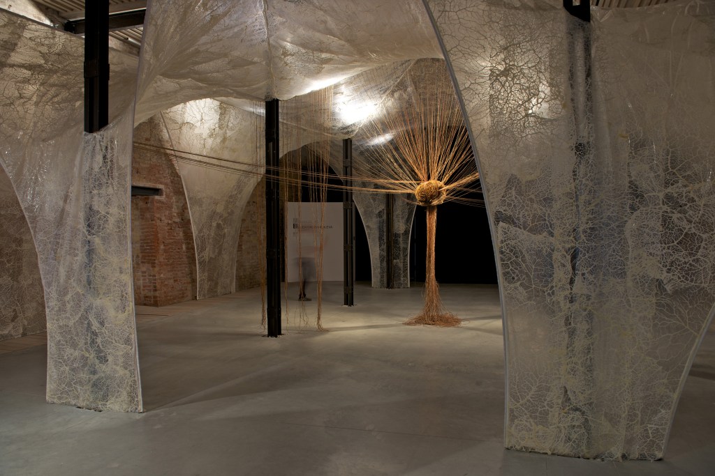 Hadzi-Vasileva, Elpida_Haruspex