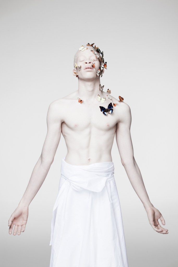 Justin Dingwall, Liberty II