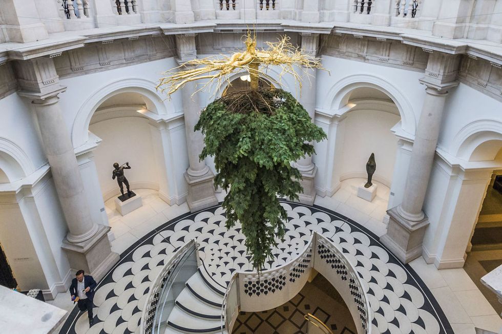 Houshiary, Shirazeh_Christmas Tree