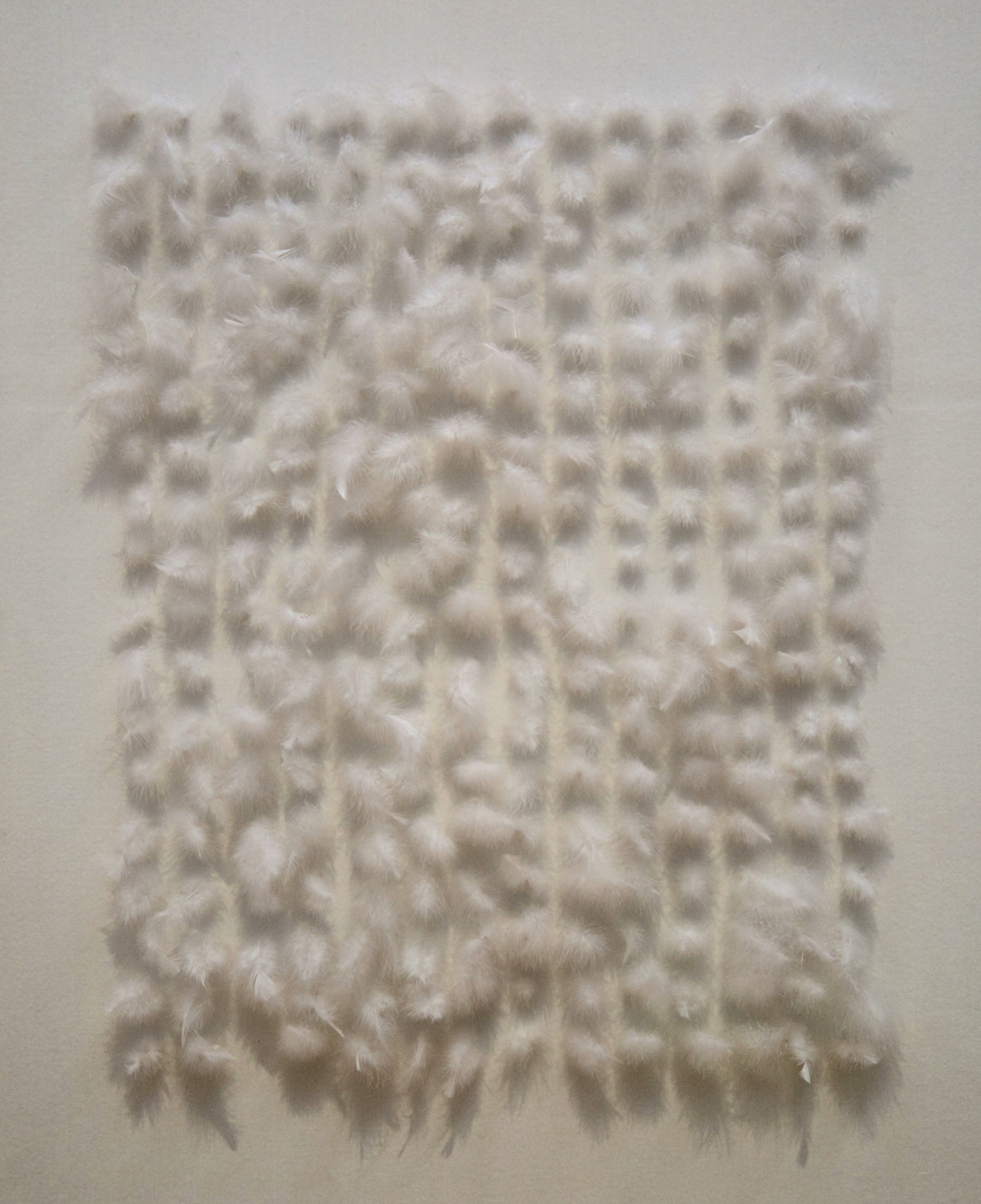 Peeters, Henk_White Feathers