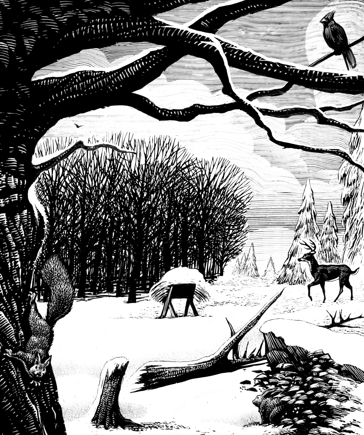 Woodcut by David G. Klein