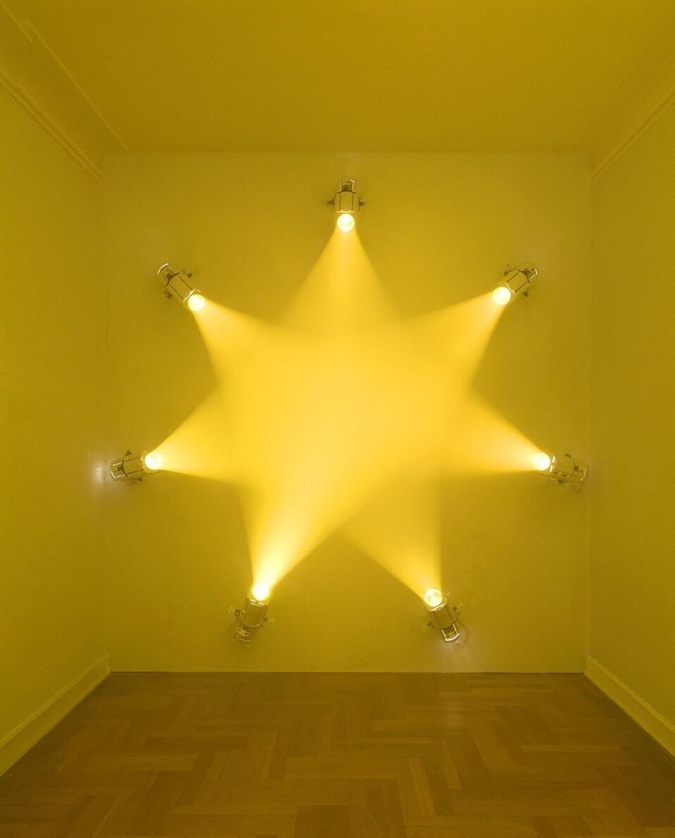 Janssens, Ann Veronica_Yellow Rose