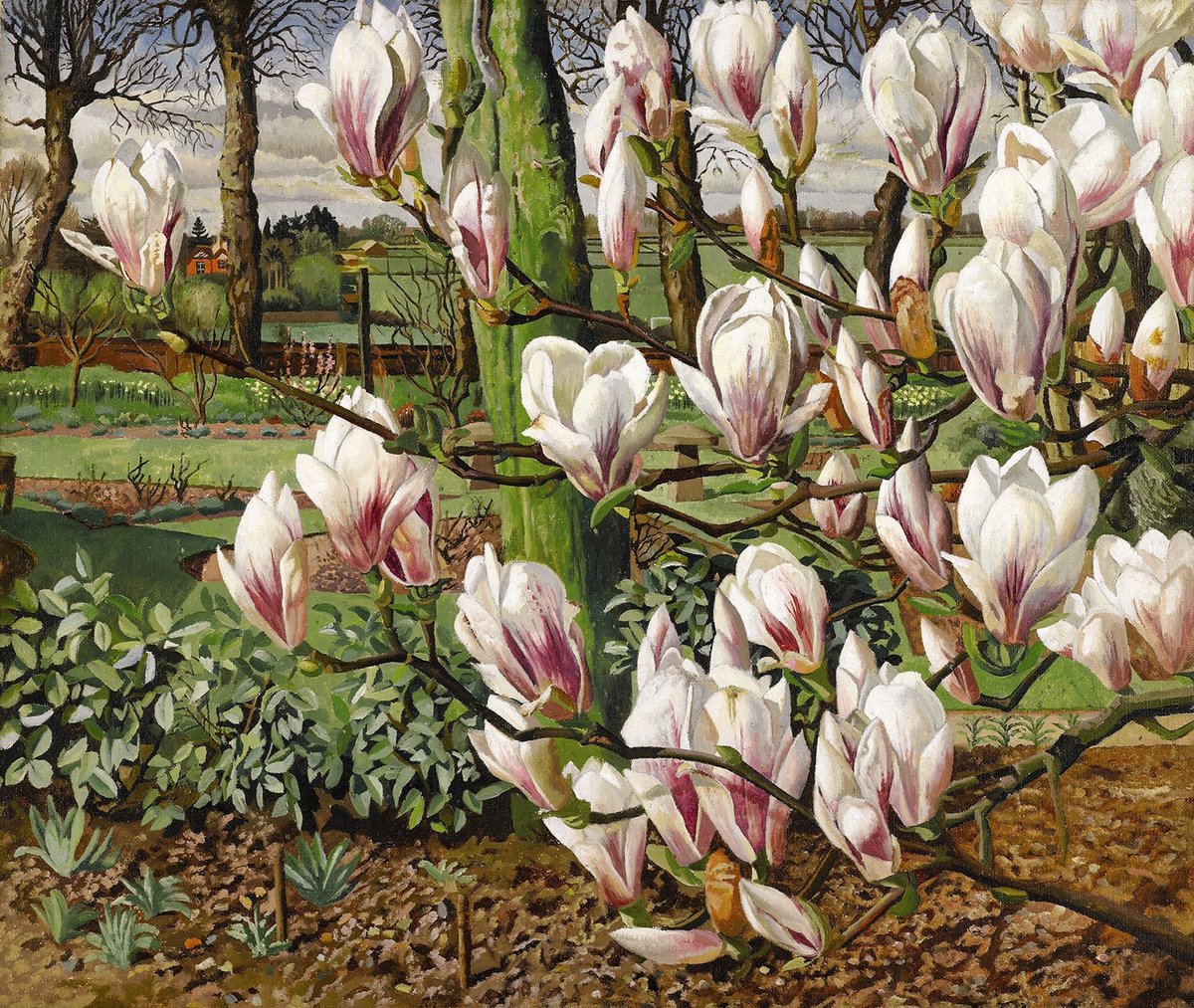 Spencer, Stanley_Magnolias