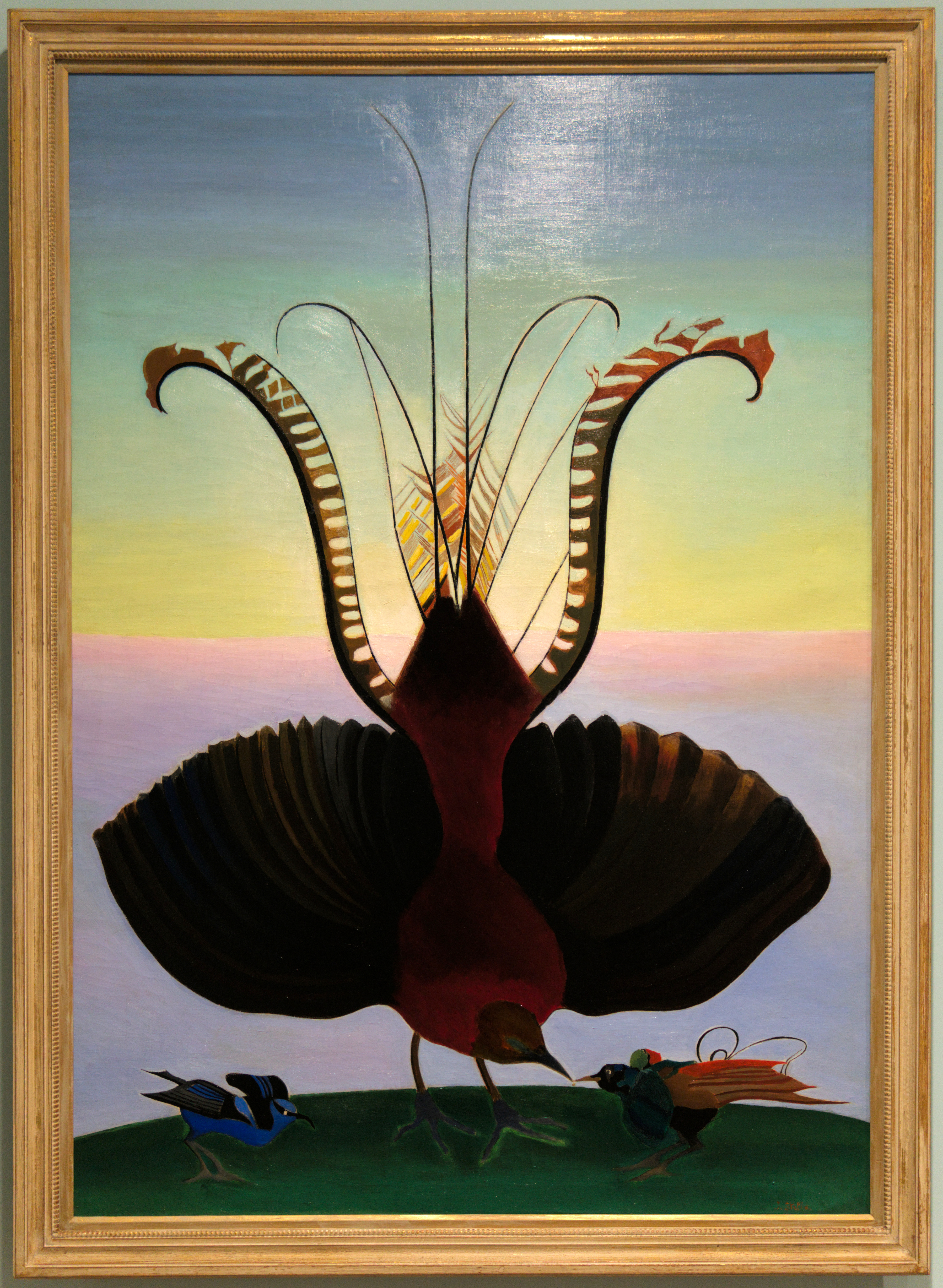 Stella, Joseph_Lyre Bird