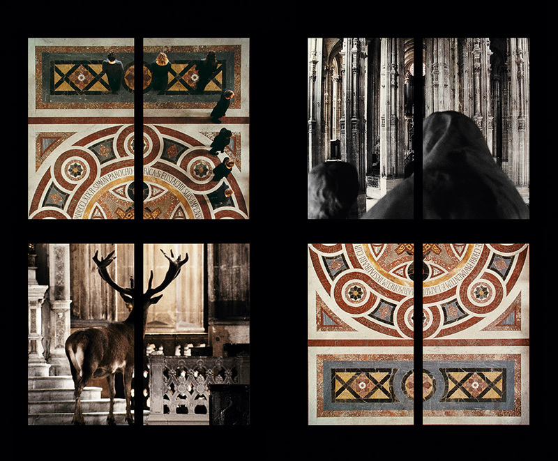 Hamill, Leonora_Furtherance