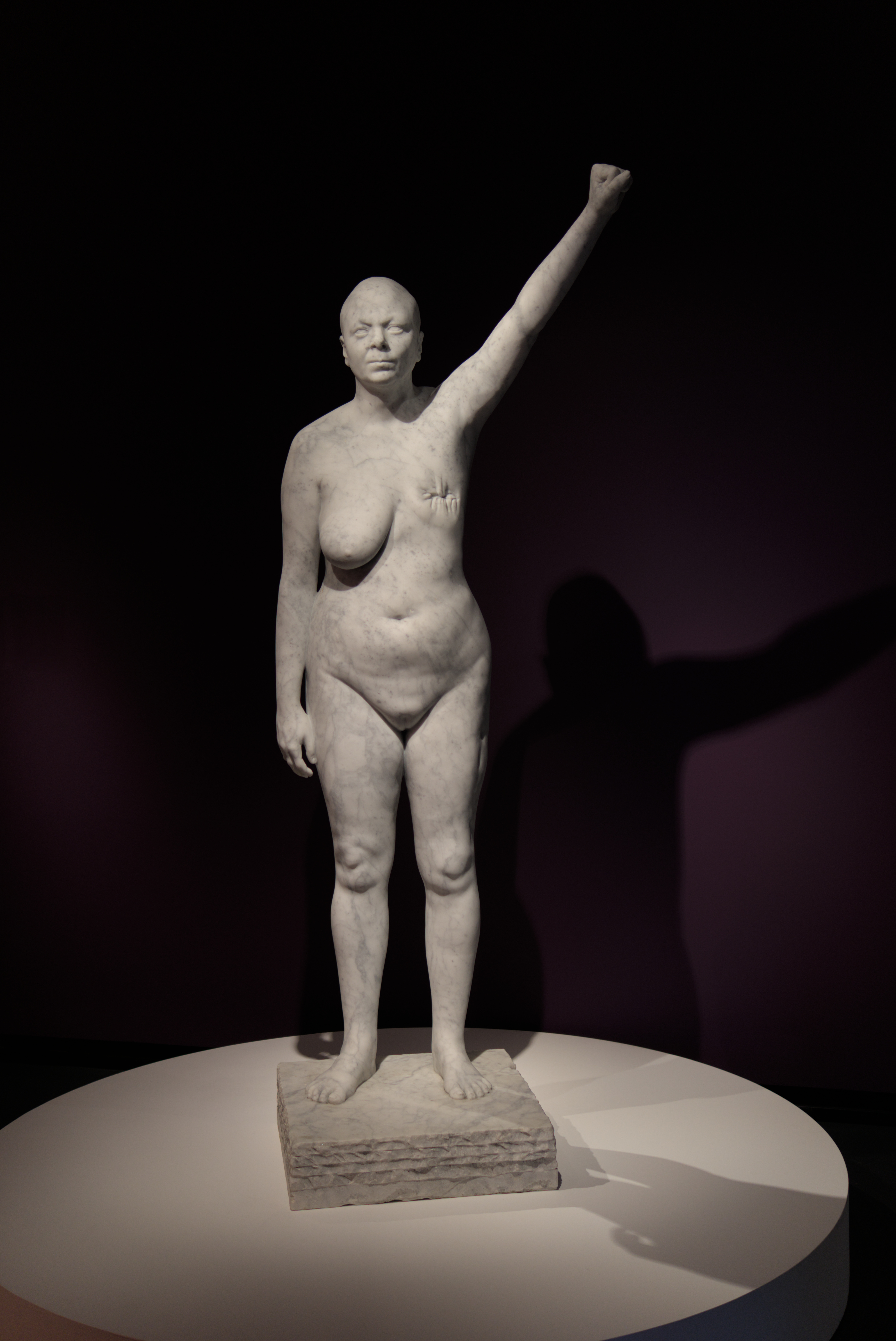 Vargas, Marina_Intra-Venus