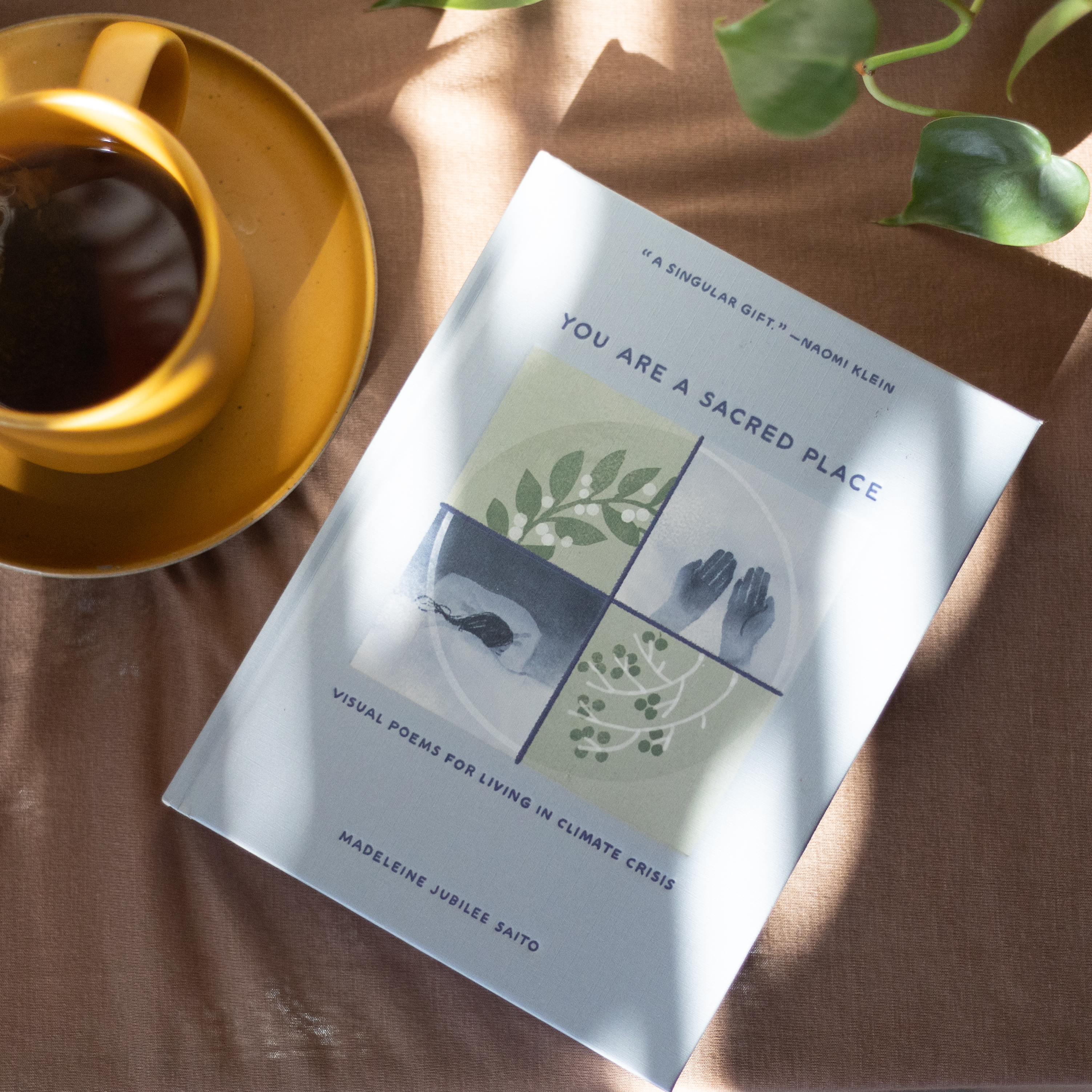 You Are a Sacred Place