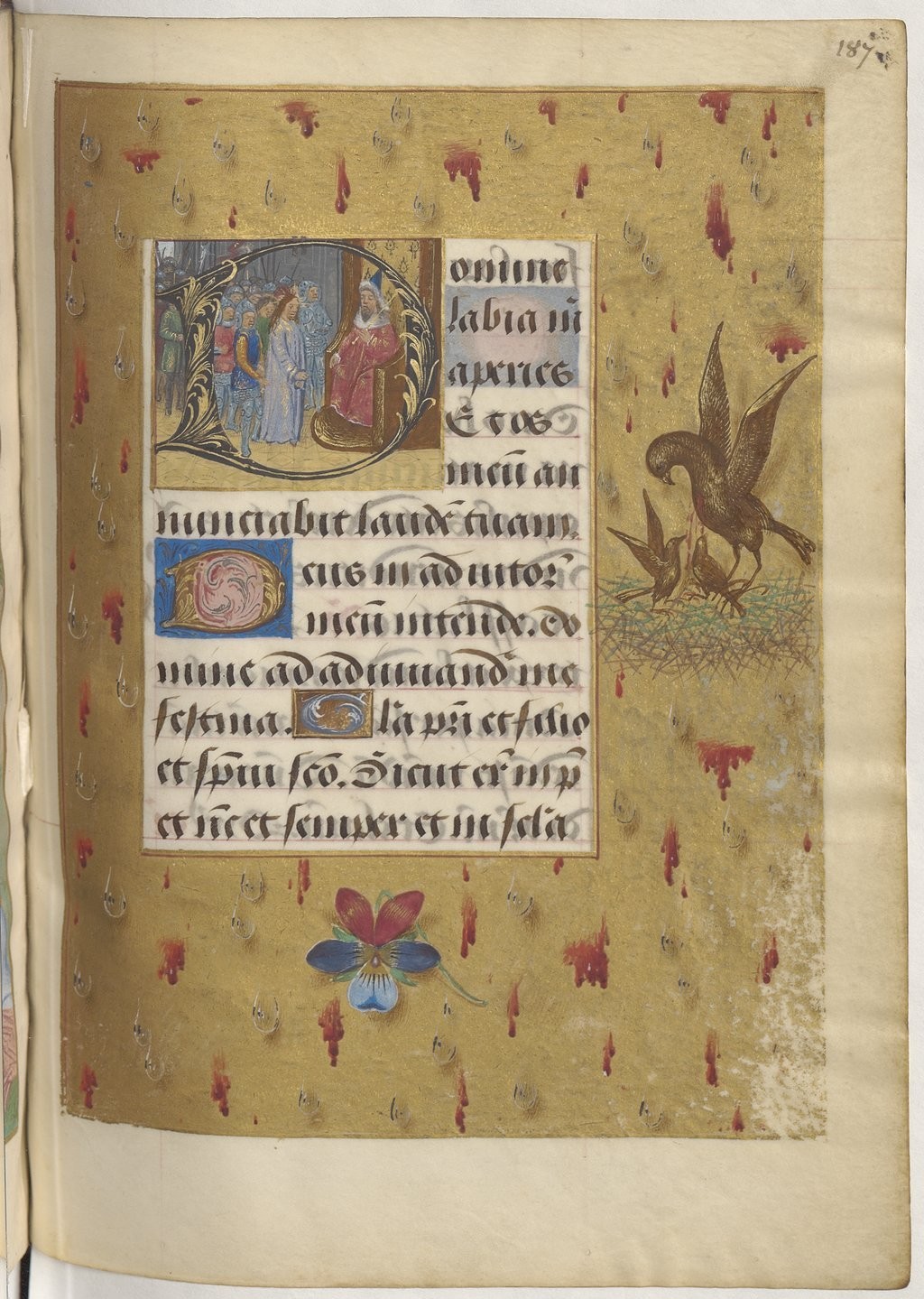 Pelican (Boussu Hours)