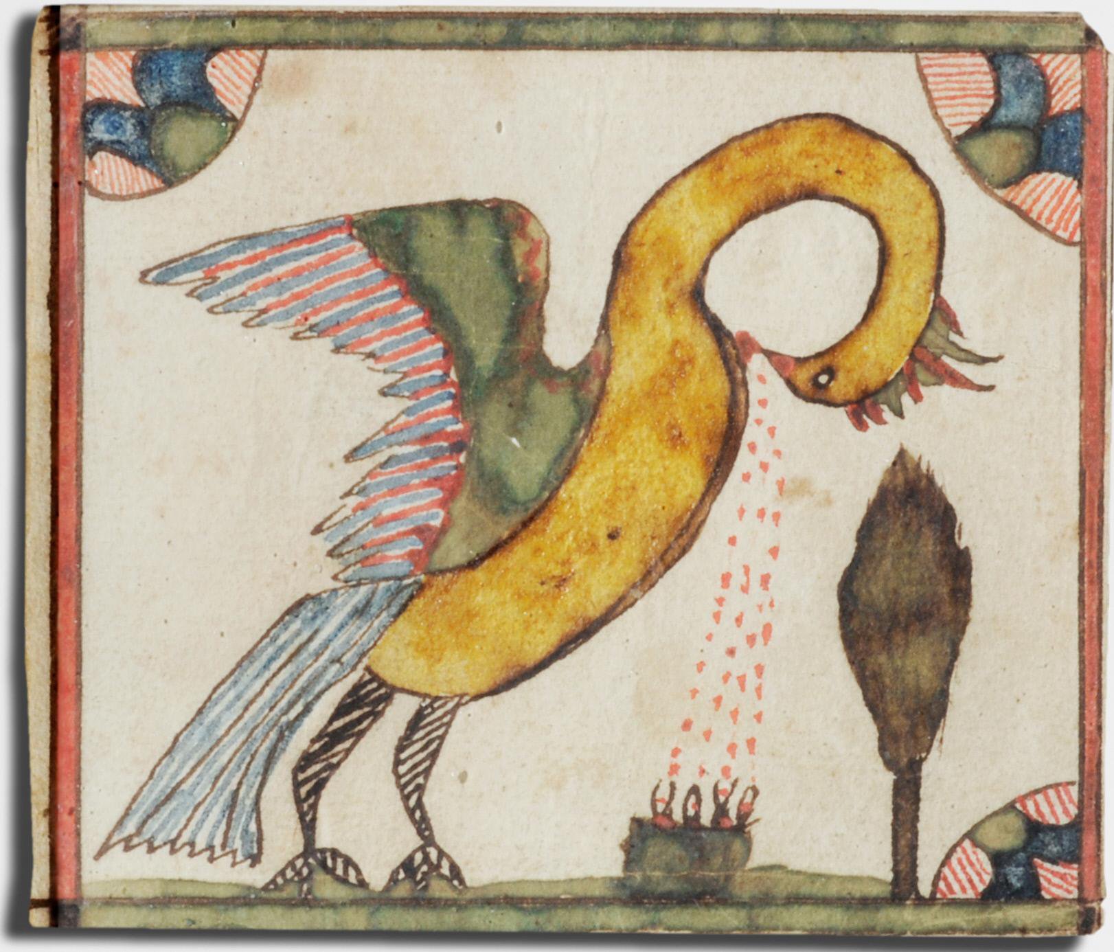Pelican fraktur