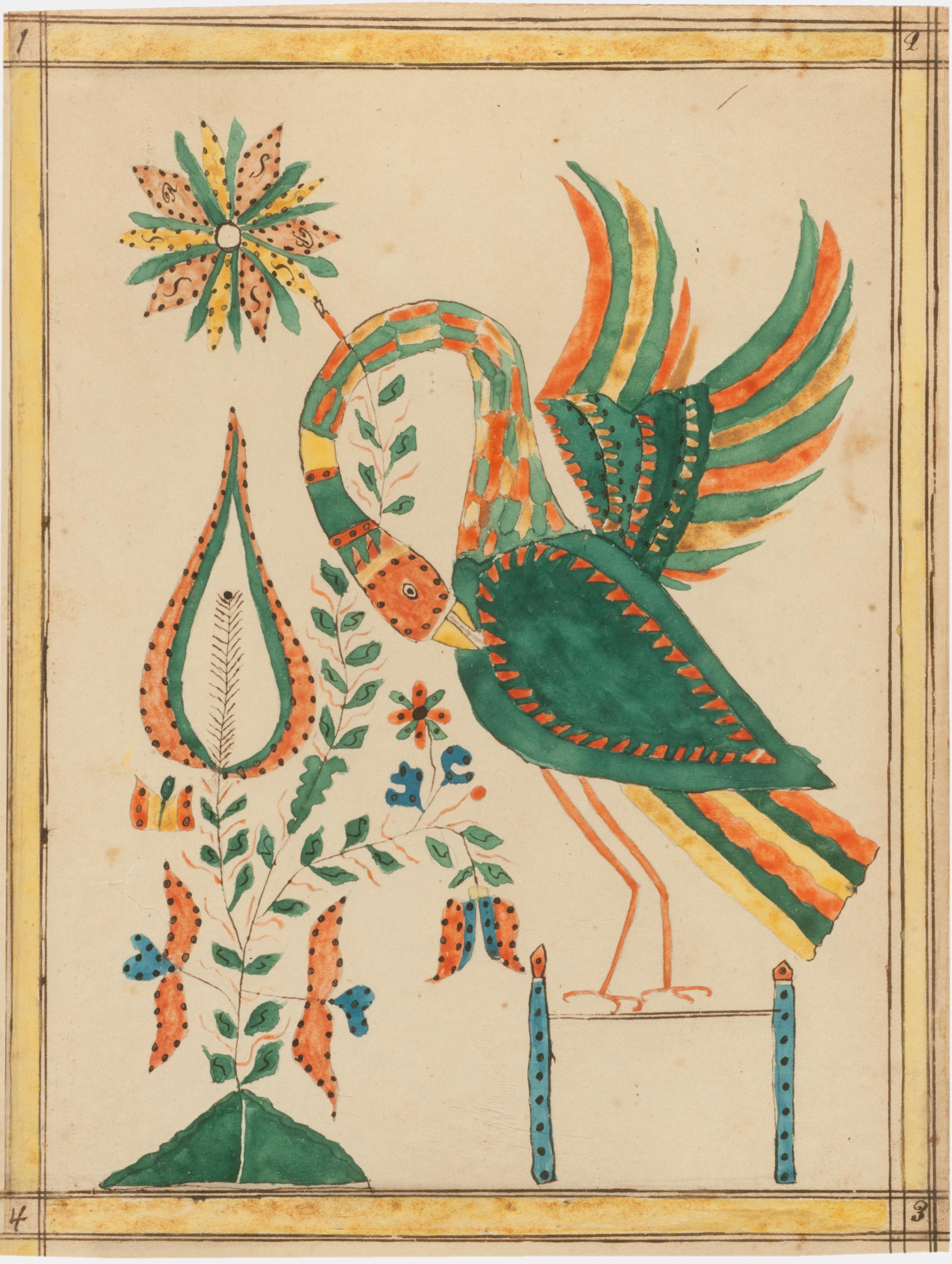Pelican fraktur