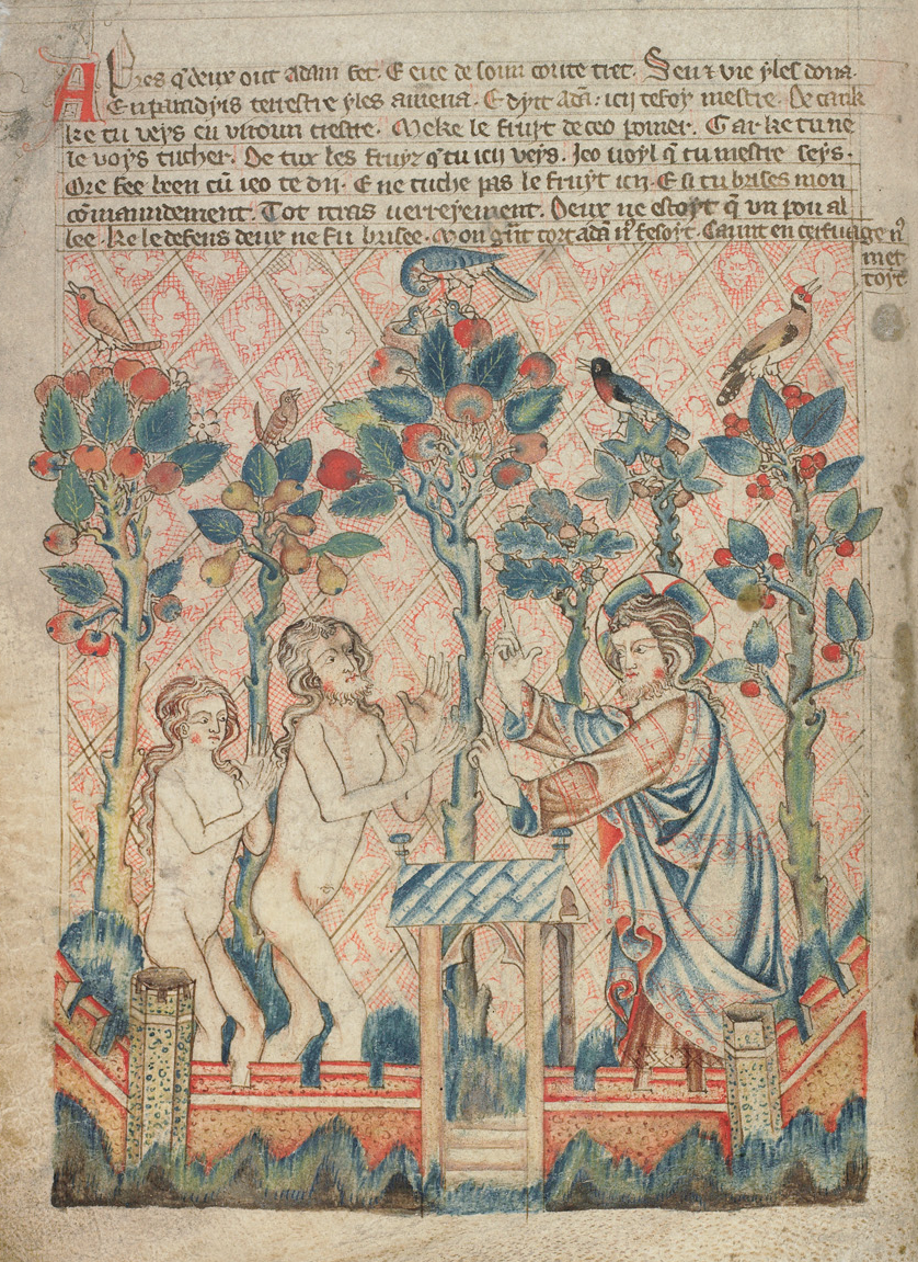 Tree of Knowledge with Pelican (Holkham Bible)