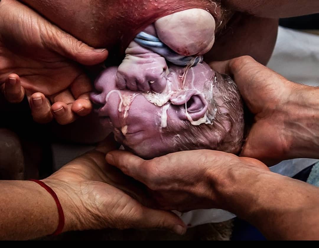 Photo by Belle Verdiglione