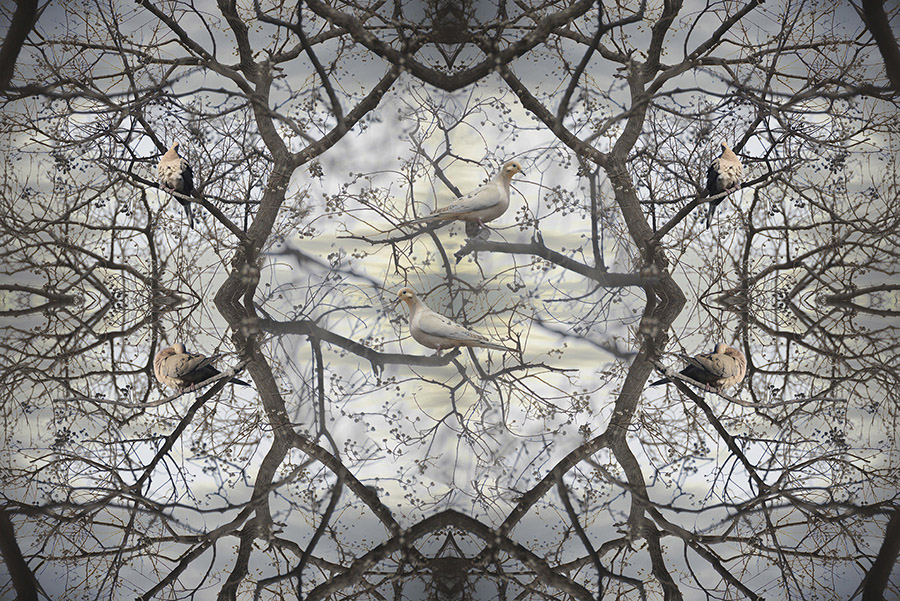 Blow, David_New Morning