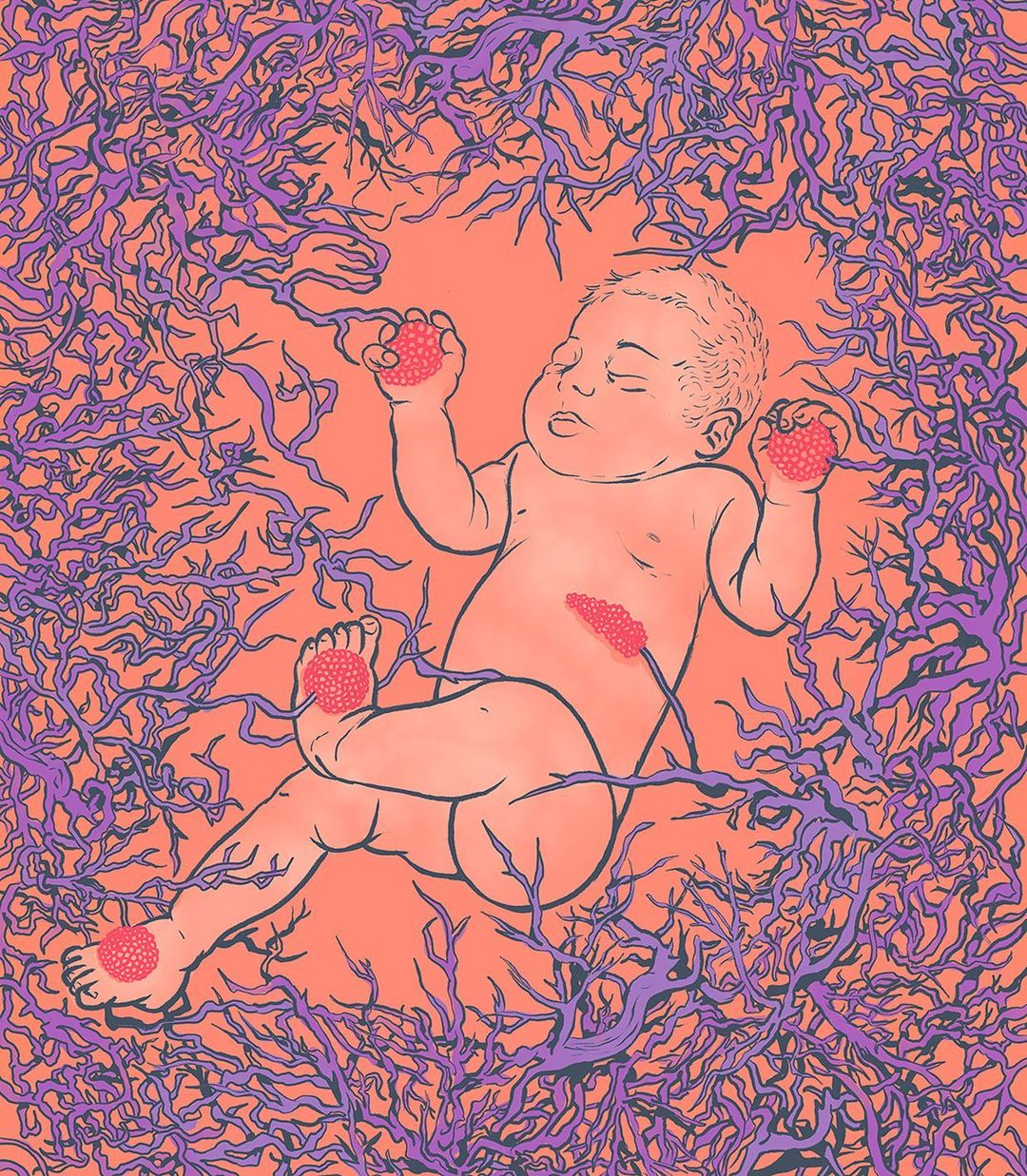 Illustration by Stephen Procopio