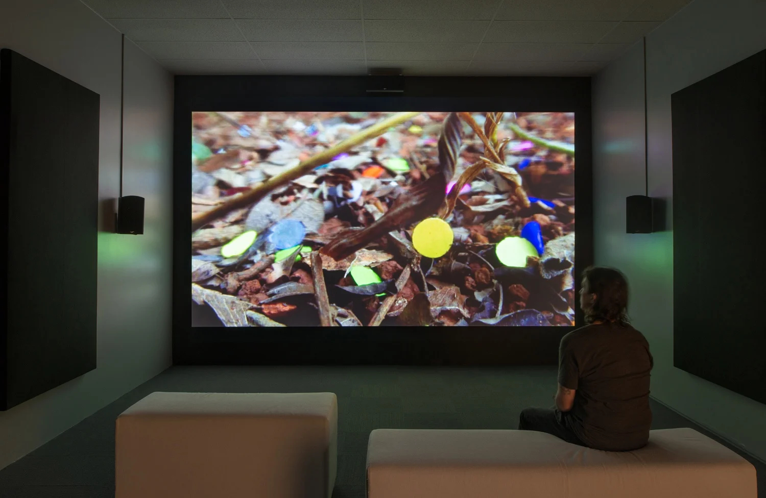 Ash Wednesday / Epilogue