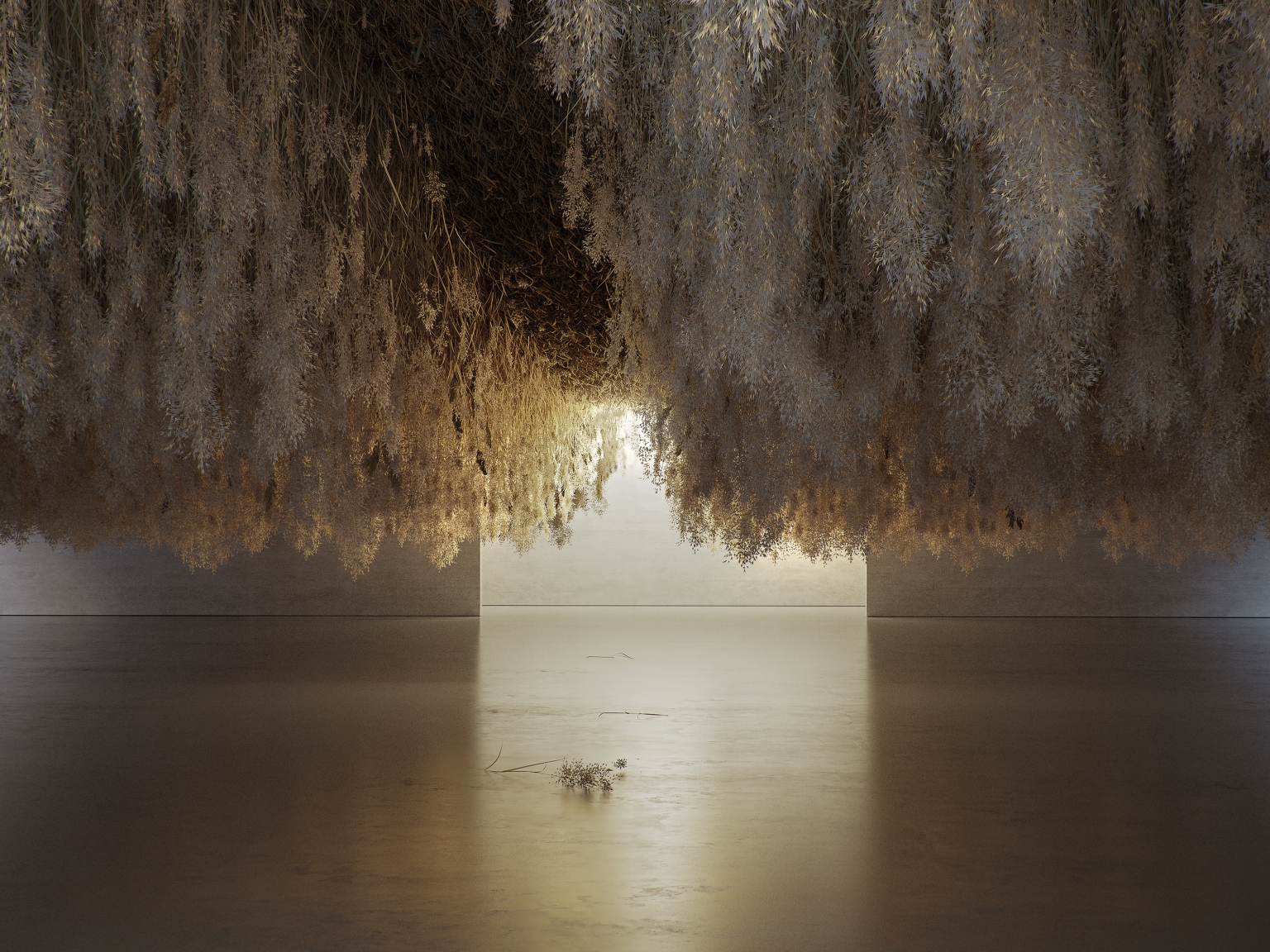 Cern, Tadao_French Exit