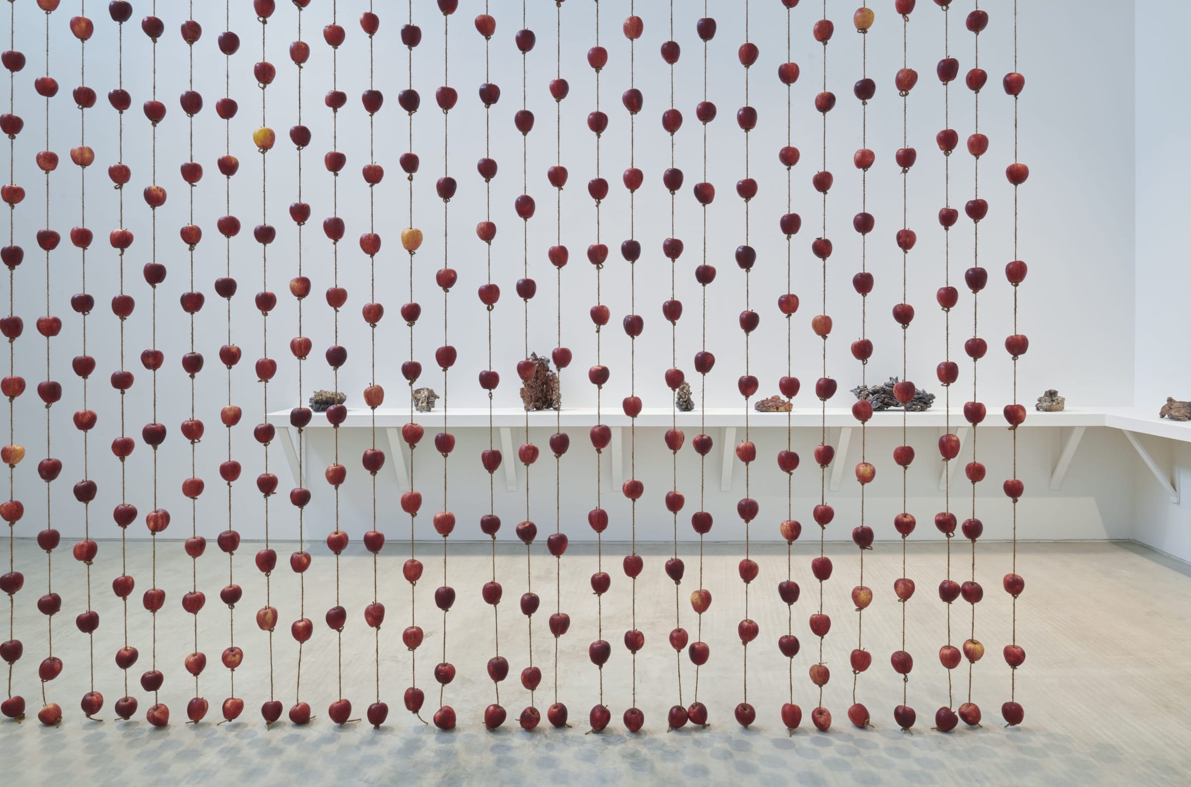 Gallaccio, Anya_Falling from grace