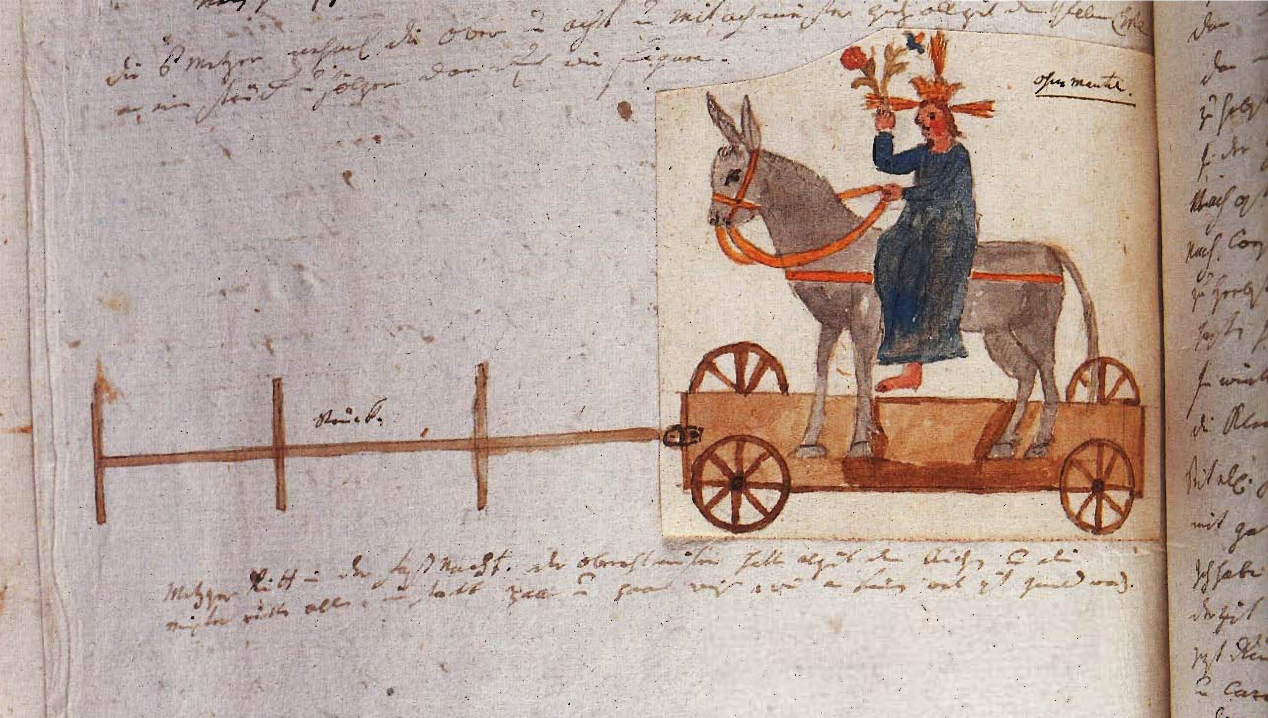 Palmesel illustration