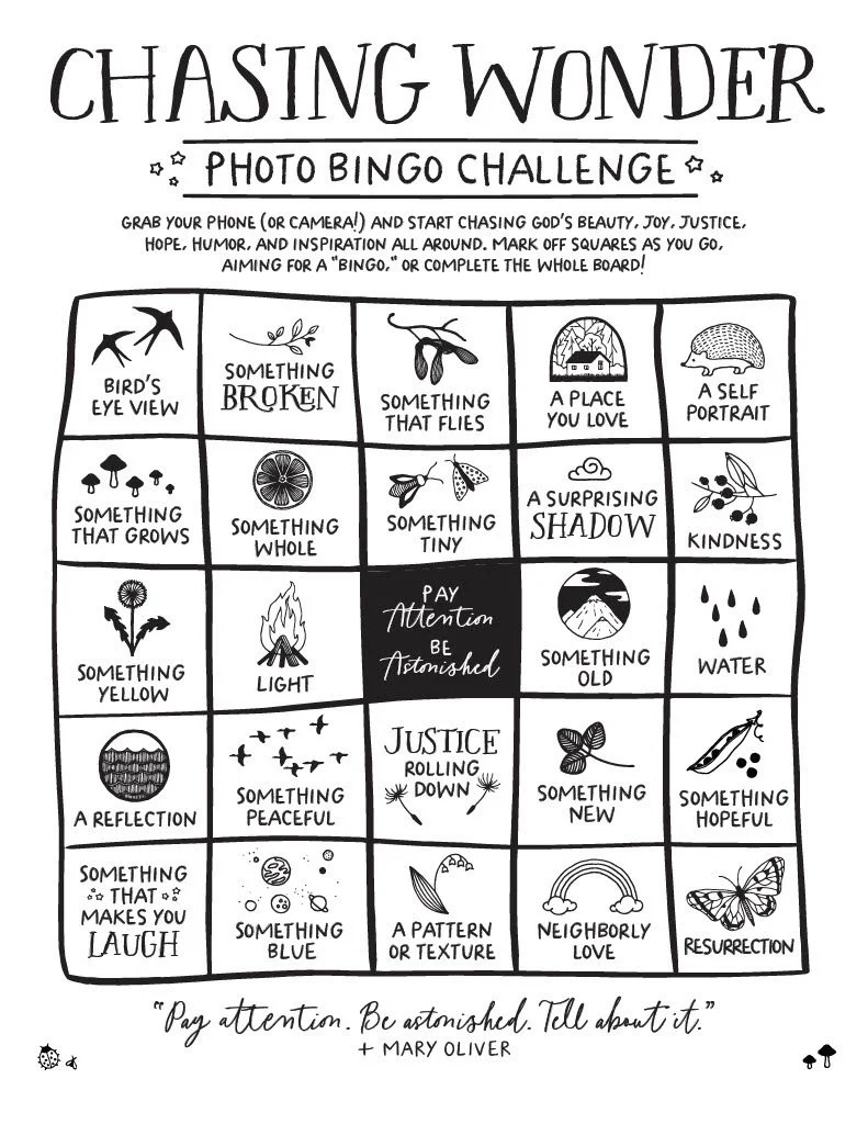 Chasing Wonder Bingo Board