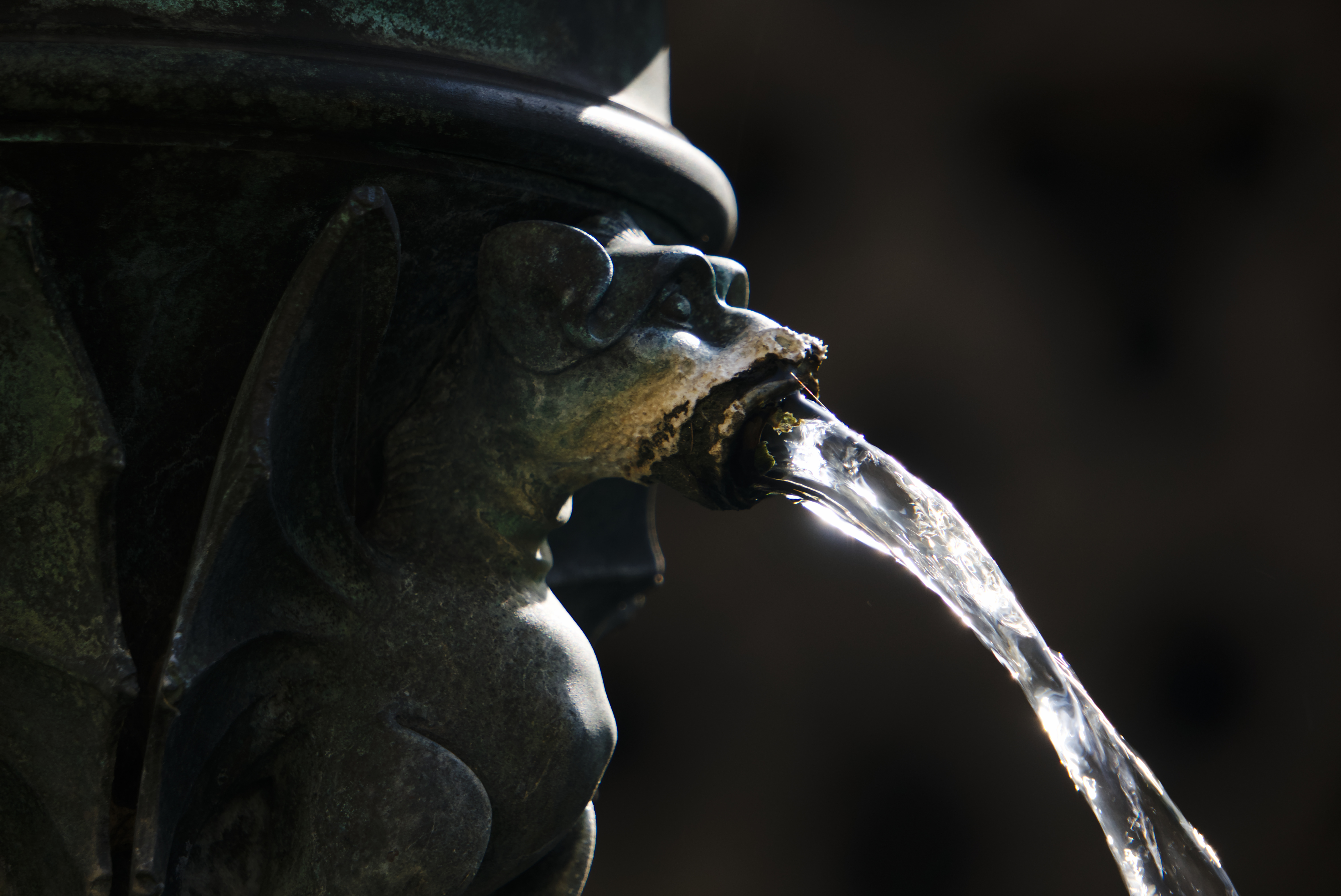 Fountain spout, Utrecht Cathedral