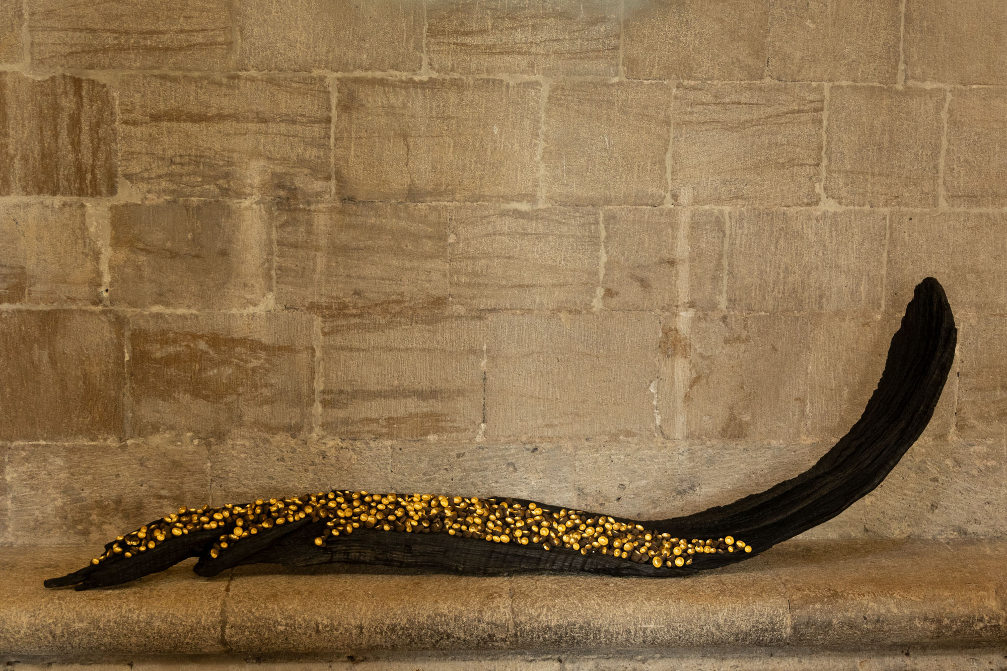 Pike, Anna_Quercus aeterna